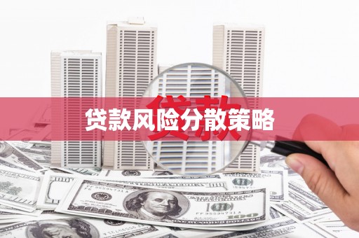 中坜贷款风险分散策略