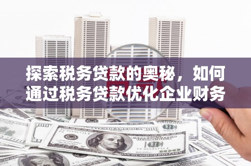 中坜探索税务贷款的奥秘，如何通过税务贷款优化企业财务