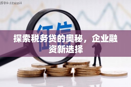 中坜探索税务贷的奥秘，企业融资新选择