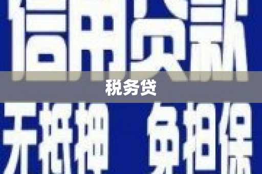 中坜税务贷
