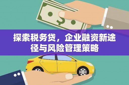 中坜探索税务贷，企业融资新途径与风险管理策略