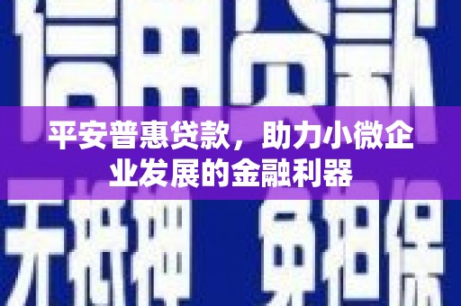 中坜平安普惠贷款，助力小微企业发展的金融利器