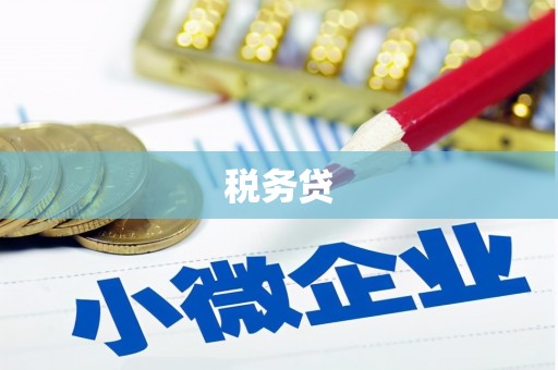 中坜税务贷
