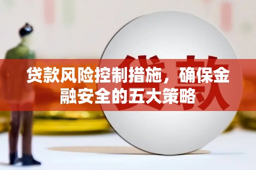 中坜贷款风险控制措施，确保金融安全的五大策略