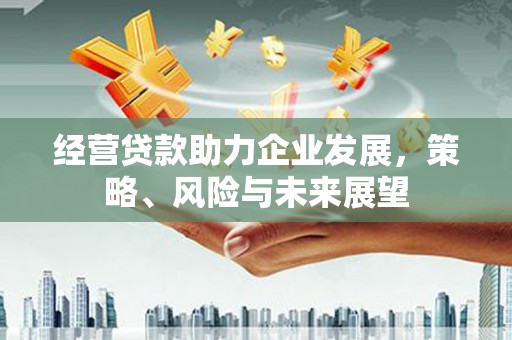 中坜经营贷款助力企业发展，策略、风险与未来展望
