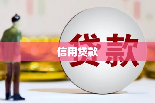中坜信用贷款