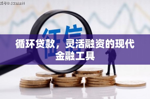 中坜循环贷款，灵活融资的现代金融工具
