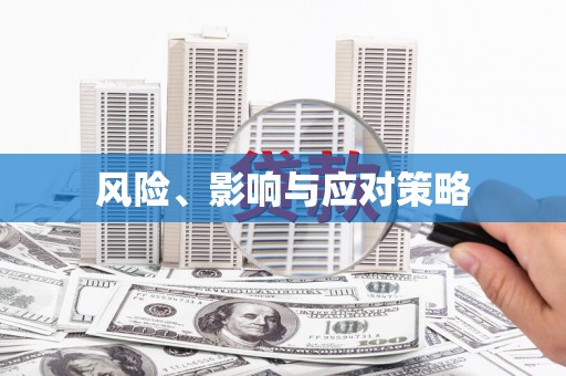 中坜风险、影响与应对策略