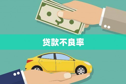 中坜贷款不良率