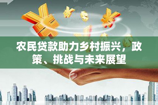 中坜农民贷款助力乡村振兴，政策、挑战与未来展望