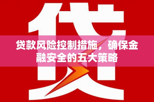 中坜贷款风险控制措施，确保金融安全的五大策略