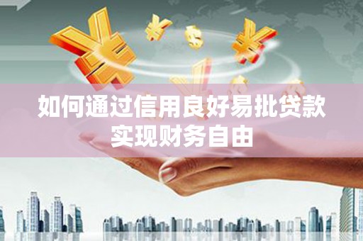 中坜如何通过信用良好易批贷款实现财务自由