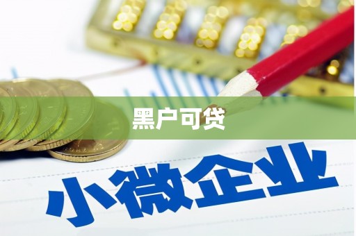 中坜黑户可贷