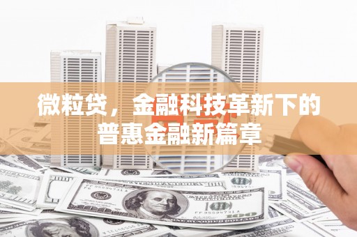中坜微粒贷，金融科技革新下的普惠金融新篇章