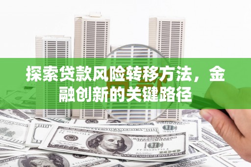 中坜探索贷款风险转移方法，金融创新的关键路径