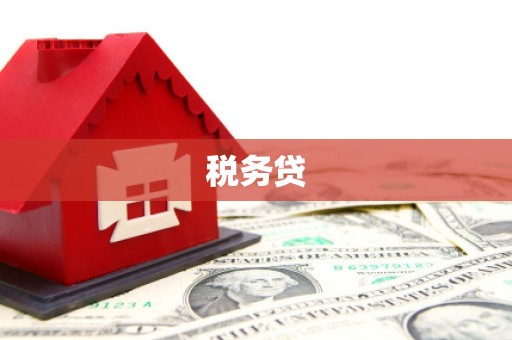 中坜税务贷