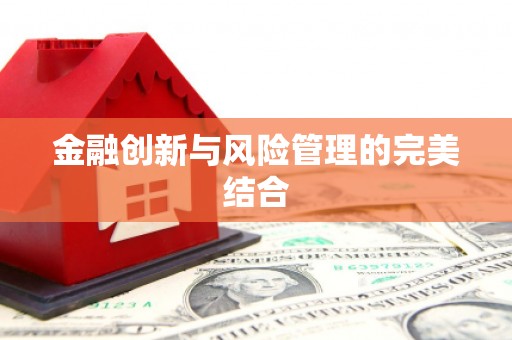 中坜金融创新与风险管理的完美结合