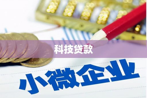 中坜科技贷款