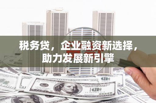 中坜税务贷，企业融资新选择，助力发展新引擎