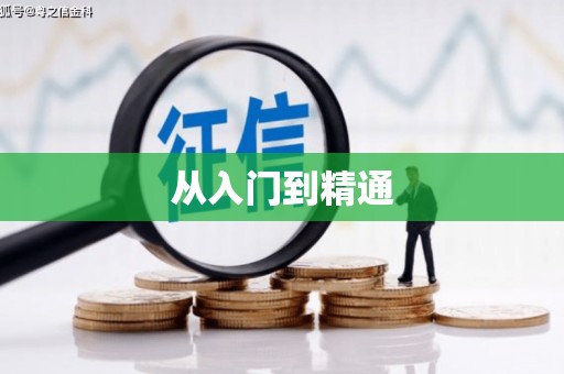 中坜从入门到精通