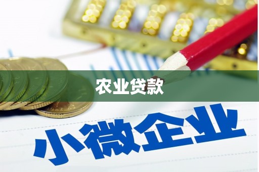 中坜农业贷款