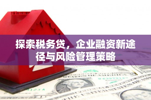 中坜探索税务贷，企业融资新途径与风险管理策略