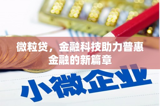 中坜微粒贷，金融科技助力普惠金融的新篇章