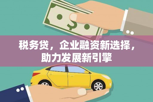 中坜税务贷，企业融资新选择，助力发展新引擎