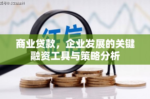 中坜商业贷款，企业发展的关键融资工具与策略分析