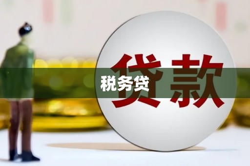 中坜税务贷