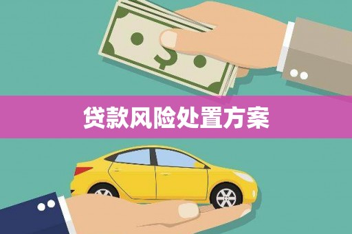 中坜贷款风险处置方案
