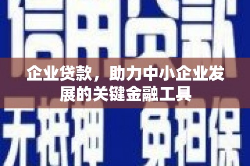 中坜企业贷款，助力中小企业发展的关键金融工具