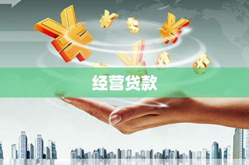 中坜经营贷款