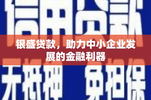 中坜银盛贷款，助力中小企业发展的金融利器