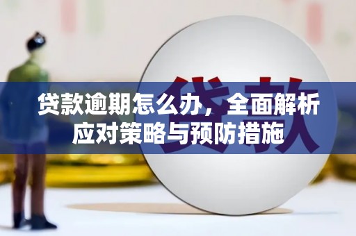 中坜贷款逾期怎么办，全面解析应对策略与预防措施