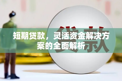 中坜短期贷款，灵活资金解决方案的全面解析