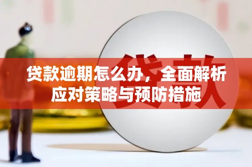 中坜贷款逾期怎么办，全面解析应对策略与预防措施