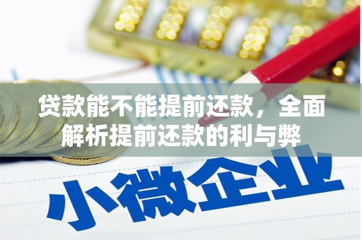 中坜贷款能不能提前还款，全面解析提前还款的利与弊