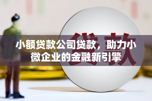 中坜小额贷款公司贷款，助力小微企业的金融新引擎
