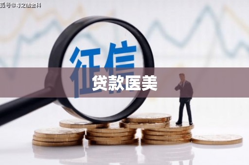 中坜贷款医美