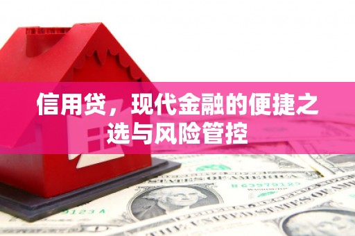 中坜信用贷，现代金融的便捷之选与风险管控