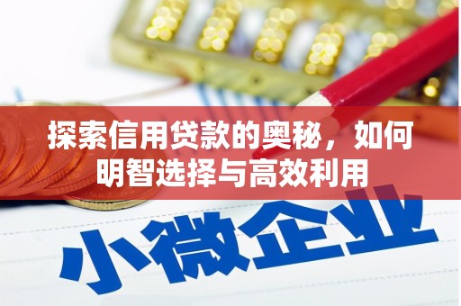 中坜探索信用贷款的奥秘，如何明智选择与高效利用