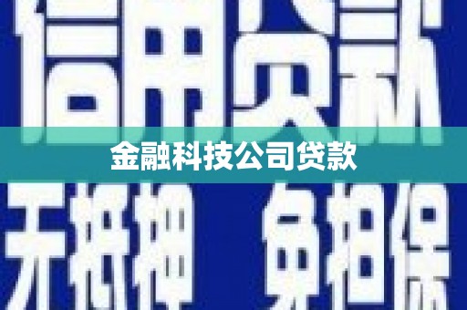 中坜金融科技公司贷款