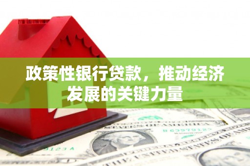 中坜政策性银行贷款，推动经济发展的关键力量