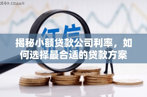 中坜揭秘小额贷款公司利率，如何选择最合适的贷款方案