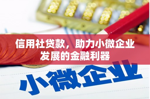 中坜信用社贷款，助力小微企业发展的金融利器