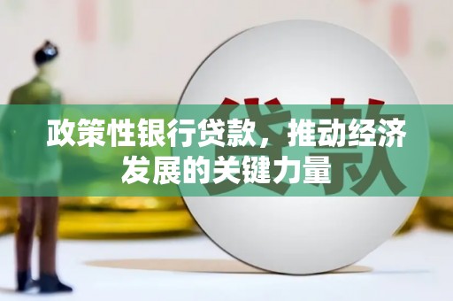 中坜政策性银行贷款，推动经济发展的关键力量