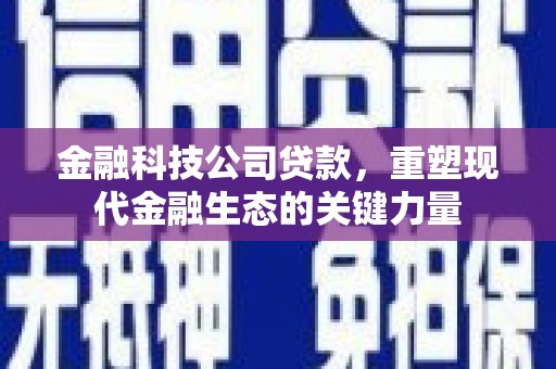 中坜金融科技公司贷款，重塑现代金融生态的关键力量