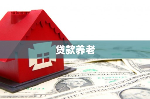 中坜贷款养老