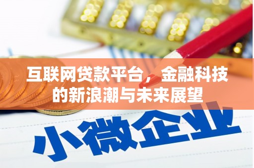 中坜互联网贷款平台，金融科技的新浪潮与未来展望